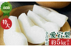 A2 【先行予約】 南陽園のあたご梨 高級一段箱（約5kg） 特大サイズ 【秀品】 | ≪数量限定≫ 梨園直送！ 期間限定 果物 フルーツ 農家直送 シャキシャキ もぎたて 旬 お取り寄せ ※12月中旬より順次発送