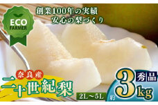 A17 【先行予約】 南陽園の二十世紀梨 おみやげ桜箱（約3kg） 2L～5L 【秀品】 | ≪数量限定≫ 梨園直送！ 期間限定 果物 くだもの フルーツ 農家直送 梨 ナシ なし シャキシャキ もぎたて 旬 お取り寄せ 二十世紀梨 奈良県 大淀町 ※9月上旬より順次発送