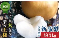 A8 【2024年先行予約】 南陽園の新高梨 高級一段箱（約5kg） 特大サイズ 【秀品】 |  ≪数量限定≫ 梨園直送！ 期間限定 果物 フルーツ 農家直送 シャキシャキ もぎたて 旬 お取り寄せ ※2024年10月中旬より順次発送
