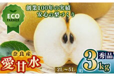 A11 【先行予約】 南陽園の愛甘水梨 おみやげ桜箱（約3kg) 2L～5L 【秀品】 | ≪数量限定≫ 梨園直送！ 期間限定 果物 くだもの フルーツ 農家直送 梨 ナシ なし シャキシャキ もぎたて 旬 お取り寄せ 愛甘水梨 奈良県 大淀町 ※8月上旬より順次発送予定