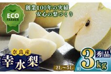 A10 【先行予約】 南陽園の幸水梨 おみやげ桜箱（約3kg）2L～5L  【秀品】 | ≪数量限定≫ 梨園直送！ 期間限定 果物 くだもの フルーツ 農家直送 梨 ナシ なし シャキシャキ もぎたて 旬 お取り寄せ 幸水梨 奈良県 大淀町 ※8月中旬より順次発送予定