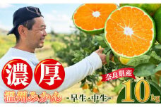 G10 温州みかん 早生 10kg | フルーツ 果物 くだもの みかん ミカン 蜜柑 温州 早生 奈良県 大淀町