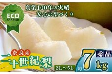 A12  【先行予約】 南陽園の二十世紀梨 半箱（約7kg） 2L～5L 【秀品】 | ≪数量限定≫ 梨園直送！ 期間限定 果物 くだもの フルーツ 農家直送 梨 ナシ なし 二十世紀梨 シャキシャキ もぎたて 旬 お取り寄せ 奈良県 大淀町 ※9月上旬より順次発送予定