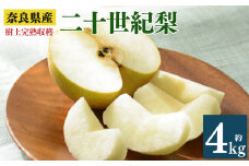 X6 二十世紀 梨 約4kg 7～10個 3L～5Lサイズ | 果物 くだもの フルーツ 梨 なし 期間限定 産地直送 奈良県 大淀町 メディアで紹介