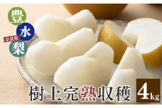 X8 豊水 梨 約4kg 7～10個 3L～5Lサイズ | 果物 くだもの フルーツ 梨 なし 期間限定 産地直送 奈良県 大淀町 メディアで紹介