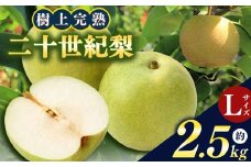 S4 奈良県産 20世紀梨 Lサイズ 化粧箱 2.5㎏以上 10玉 | 果物 くだもの フルーツ 梨 20世紀梨 奈良県 大淀町 季節 産地直送