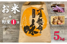 Y1 お米5kgと農薬不使用の野菜1袋のセット | 米 コメ こめ ヒノヒカリ ひのひかり ヒトメボレ ひとめぼれ ハツシモ はつしも 5kg 野菜 いも セット 奈良県 大淀町