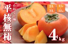 F11 奈良県 平核無柿(たねなし柿) 2L～3Lサイズ 約4kg 11～12玉 | 果物 くだもの フルーツ 柿 ひらたねなし柿 たねなし柿 種なし柿 道の駅 奈良県 大淀町