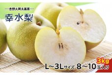 G15 幸水 梨 L ～ 3L サイズ 約3kg 8～10玉  | フルーツ 果物 くだもの 梨 幸水 奈良県 大淀町