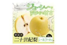 G16 二十世紀梨 L ～ 3L サイズ 約3kg 8玉 ～ 10玉 | フルーツ 果物 くだもの 梨 幸水 奈良県 大淀町
