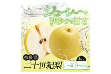 G16 二十世紀梨 L ～ 3L サイズ 約3kg 8玉 ～ 10玉 | フルーツ 果物 くだもの 梨 幸水 奈良県 大淀町