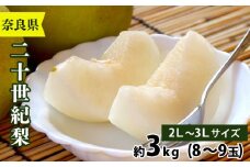 S2 奈良県産 吉野 二十世紀梨 完熟果物 期間限定 産地直送 大淀町 2Lサイズ～3Lサイズ 化粧箱 3kg 8～9玉  | 果物 くだもの フルーツ 梨 奈良県 大淀町 万福農園