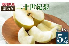X9 【訳あり】 二十世紀梨 L～6Lサイズ 9～18玉 約5kg | 果物 くだもの フルーツ 梨 なし 期間限定 産地直送 奈良県 大淀町 メディアで紹介