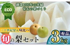 A19 【先行予約】 南陽園の旬の梨 味くらべ（二十世紀梨セット） 約3kg 2L～5L 【秀品】 | ≪数量限定≫ 梨園直送！ 期間限定 果物 くだもの フルーツ 農家直送 梨 ナシ シャキシャキ もぎたて 旬 お取り寄せ 二十世紀梨 幸水梨 奈良県 大淀町 ※9月上旬より順次発送予定