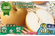 A16 【先行予約】 南陽園の豊水梨 おみやげ桜箱（約3kg） 2L～5L 【秀品】 | ≪数量限定≫ 梨園直送！ 期間限定 果物 くだもの フルーツ 農家直送 梨 ナシ なし シャキシャキ もぎたて 旬 お取り寄せ 豊水梨 奈良県 大淀町 ※9月初旬より順次発送