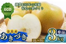 A15 【先行予約】 南陽園のあきづき梨 おみやげ桜箱（約3kg） 2L～5L【秀品】 | ≪数量限定≫ 梨園直送！ 期間限定 果物 くだもの フルーツ 農家直送 梨 ナシ なし シャキシャキ もぎたて 旬 お取り寄せ 秋月梨 奈良県 大淀町 ※9月中旬より順次発送予定