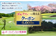 ゴルフプレーに使えるクーポン6000円分 | ゴルフ ラウンド キャディ 奈良県吉野郡 大淀町