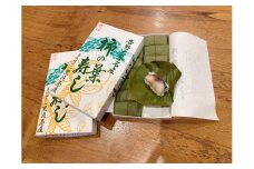 柿の葉寿司（鯖×14個入り）　2箱