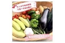 新鮮・栽培期間農薬不使用野菜。旬の野菜5品～8品目を段ボールいっぱいにしてお届け!【1316788】