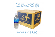 大峰山の超名水　ごろごろ水　500ml×1ケース
