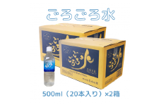大峰山の超名水　ごろごろ水　500ml×2ケース