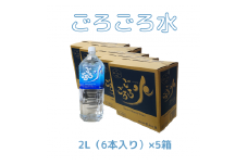 大峰山の超名水　ごろごろ水　2L×5ケース