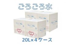 大峰山の超名水　ごろごろ水　20L×4ケース
