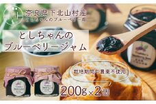 先行受付 2025年9月～発送 としちゃんのブルーベリージャム200gx2個 手摘み 下北山村産 栽培期間中農薬不使用