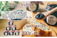 先行受付 2025年9月～発送 としちゃんのブルーベリージャム200gx6個 手摘み 下北山村産 栽培期間中農薬不使用