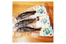 【奈良県下北山村産】桜薫るあまごの燻製 アマゴ 川魚 燻製 お酒