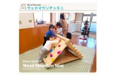 木製 ウッドマウンテンミニ（ボルダリングタイプ）無塗装 防腐加工済 国産材 環境配慮 外遊び 屋外 アスレチック 遊具 公園