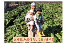 【自然栽培】大和の伝統野菜 下北春まな2kg 