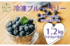 8月上旬～順次発送　栽培期間中農薬不使用 としちゃんのブルーベリー 300gx4 手摘み 下北山村産