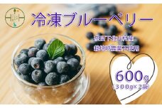 8月上旬～順次発送　栽培期間中農薬不使用 としちゃんのブルーベリー 300gx2 手摘み 下北山村産