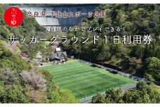 奈良 下北山村 サッカーグラウンド 1日利用券 人工芝 サッカー合宿 人気 下北山スポーツ公園 旅行 キャンプ 大自然 