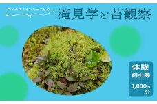 「マイナスイオンたっぷりの滝見学と苔観察」体験割引券（3,000円分） | マイナスイオン 滝 たき タキ 苔 こけ コケ 観察 自然 奈良県 上北山村