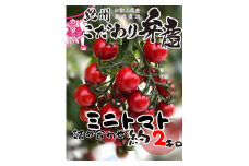 M010　こだわりミニトマト詰め合わせ