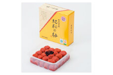 M028　紀州　しそ漬梅　紀和の梅　１ｋｇ