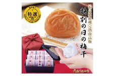 M069　紀州完熟南高梅　特別の日の梅干・一段重
