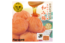 M071　紀州完熟南高梅　和み梅