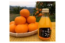 M082　まごころ搾りたて有田産みかんジュース１８０ｍｌ　１２本入