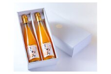 M093　きわみみかんジュース５００ｍｌ×２本入りギフト