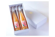 M095　あら川の桃ドリンク５００ｍｌ×２本入りギフト