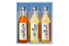 M099　和歌のめぐみ　飲み比べセット　ＳＬ－４０