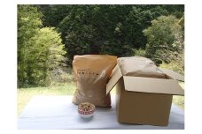 M211　森のねこトイレ　くずれるタイプ　５Ｌ×４袋