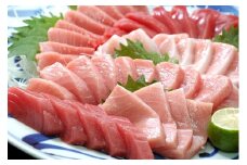 M294　本まぐろトロ＆赤身セット５００ｇ
