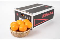 M356　超熟屋根掛けみかん　金特選５㎏