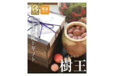 M365　樹王１．３ｋｇ（まろやか梅）