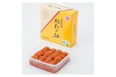 M444　紀州　うす塩味梅　紀和の梅　１ｋｇ×５