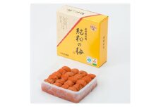 M443　紀州　はちみつ梅　紀和の梅　１ｋｇ×５